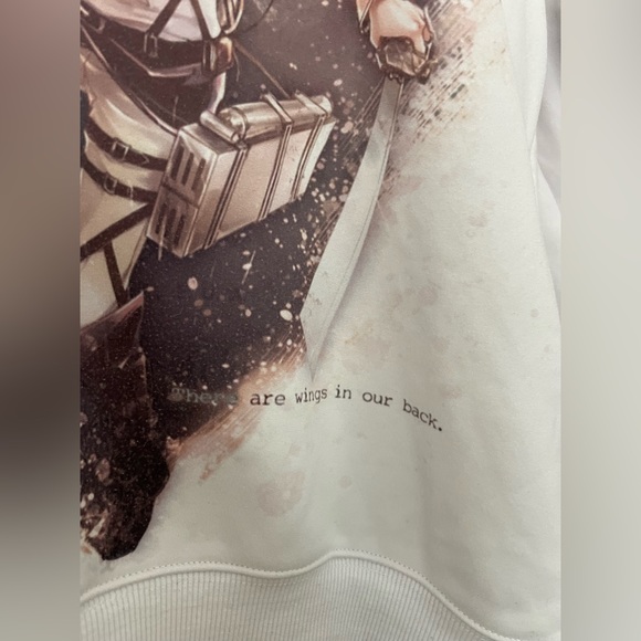 Attack on Titan Hoodie - Picture 3 of 5